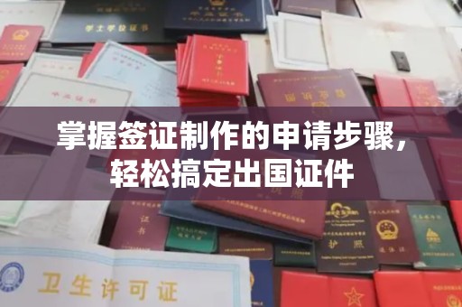 丘北掌握签证制作的申请步骤，轻松搞定出国证件