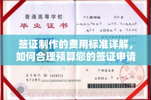丘北签证制作的费用标准详解，如何合理预算您的签证申请成本